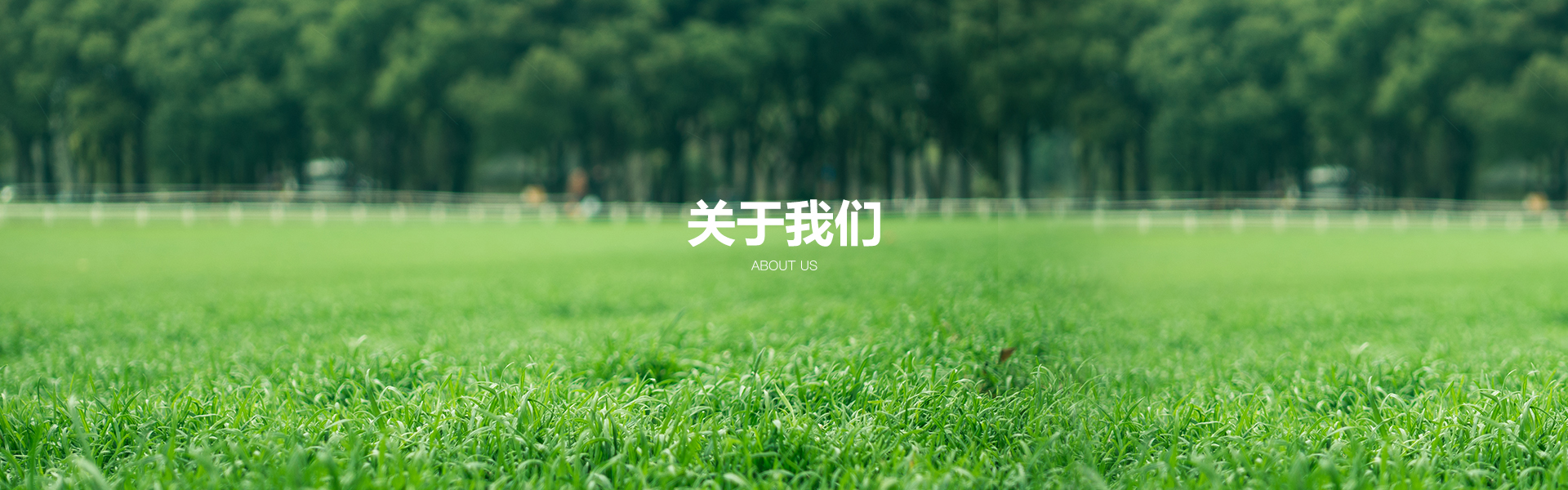 關(guān)于我們
