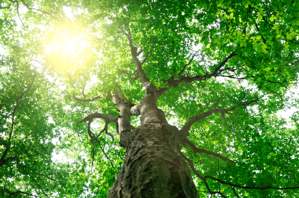 傅傳劍中醫(yī)師參加覺引冥想心得體會